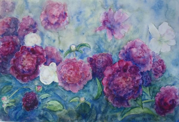 Bouquet of peonies