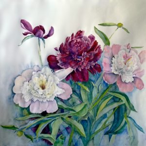 Peonies
