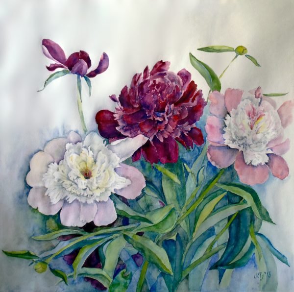 Peonies