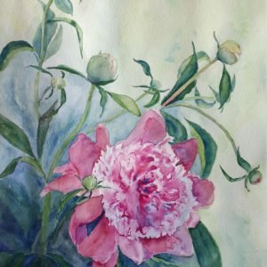 Watercolor by Olly