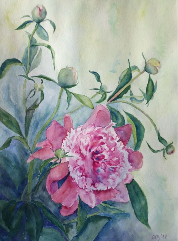 Peony