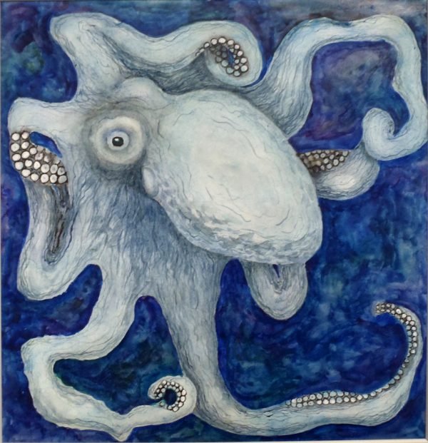 Octopus