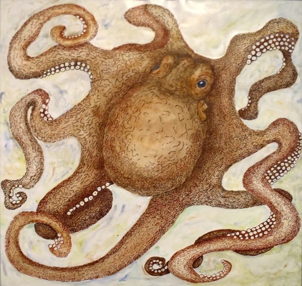 Octopus-girl