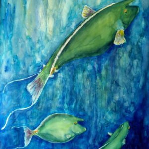 Unicorns - Watercolor by Olly