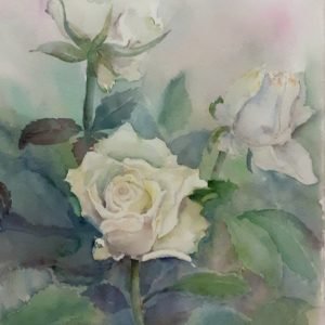 White roses