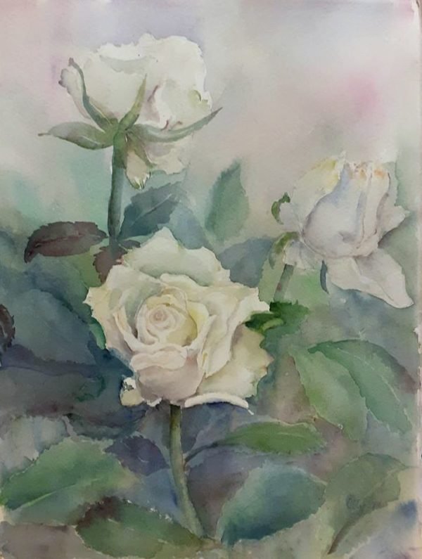 White roses