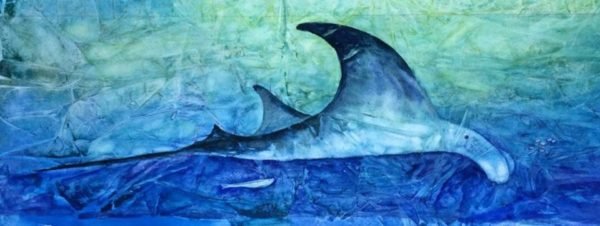 Manta ray