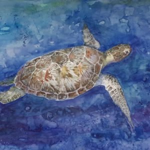 Turtle