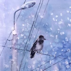 Birds 300x300