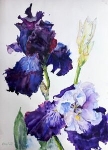 Flovers 217x300