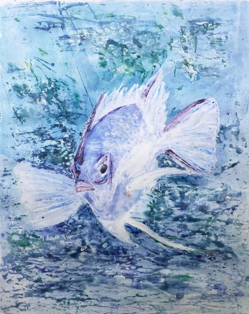 Olly Fish Day 06 812x1024