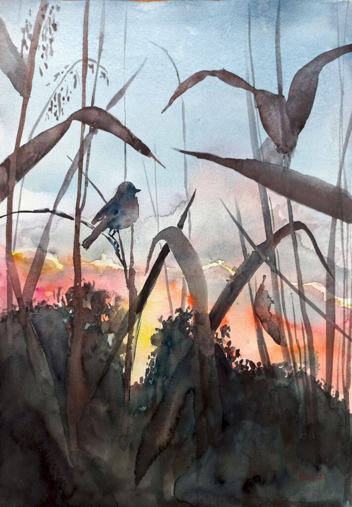olly birds 01 zarjanka
