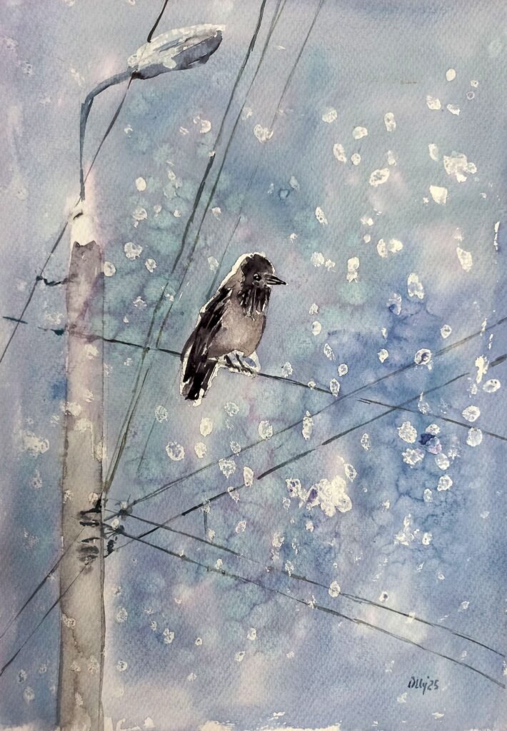 olly birds 02 zyma
