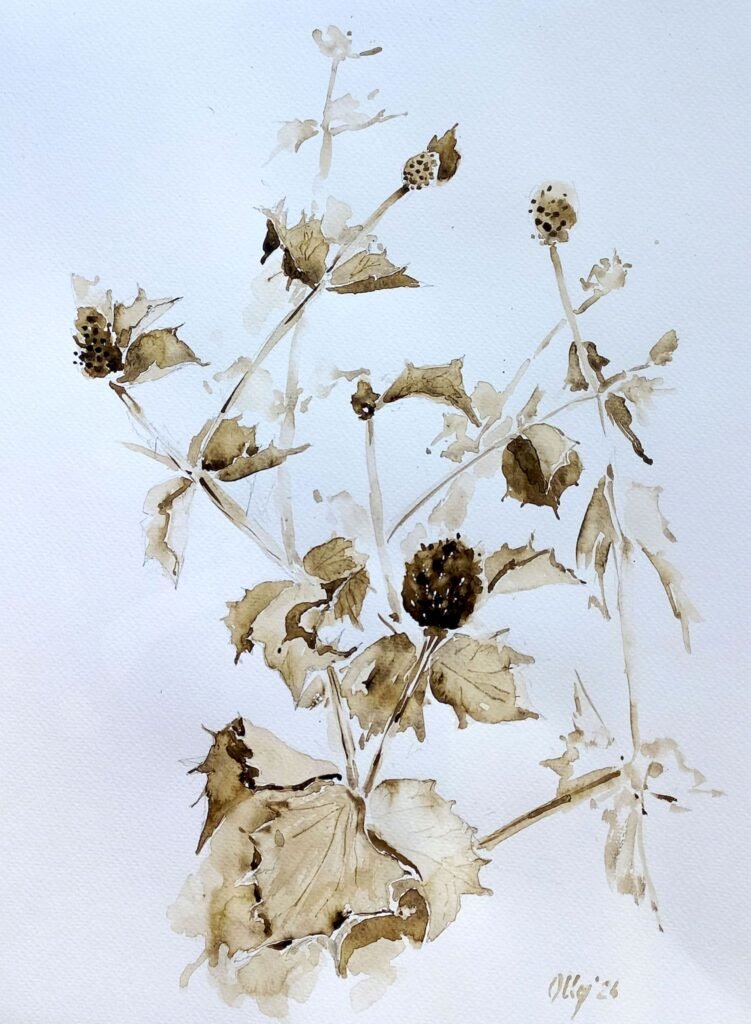 olly sepia 11 therapeutic thorns 40x30 2024