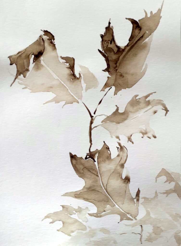 olly sepia 12 leaves 27x19 2020
