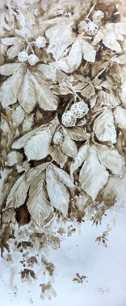 olly sepia 14 chestnut 59x25 2024